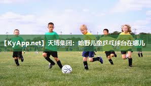 天博集团:哈野儿童乒乓球台在哪儿