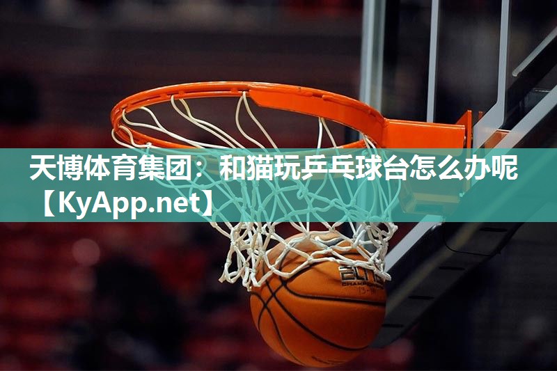 天博体育集团:和猫玩乒乓球台怎么办呢
