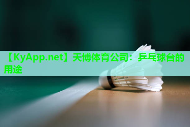 天博体育公司:乒乓球台的用途
