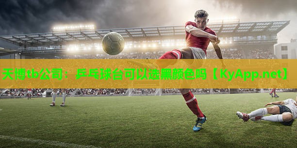 天博tb公司:乒乓球台可以选黑颜色吗