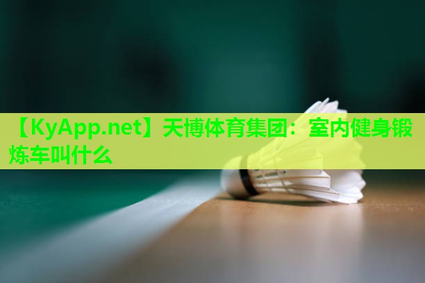 天博体育集团:室内健身锻炼车叫什么