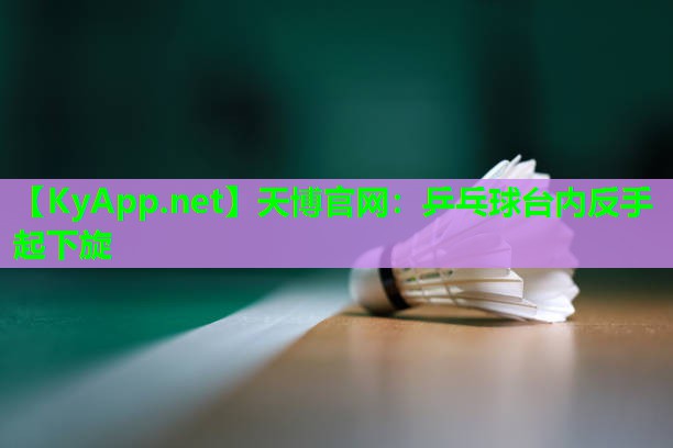 天博官网:乒乓球台内反手起下旋
