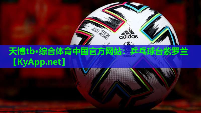 天博tb·综合体育中国官方网站:乒乓球台紫罗兰