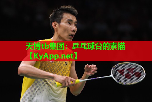 天博tb集团:乒乓球台的素描
